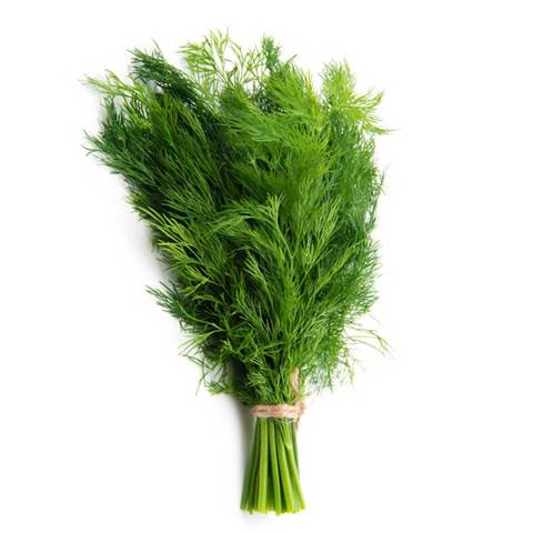 Dill leaves -FF
