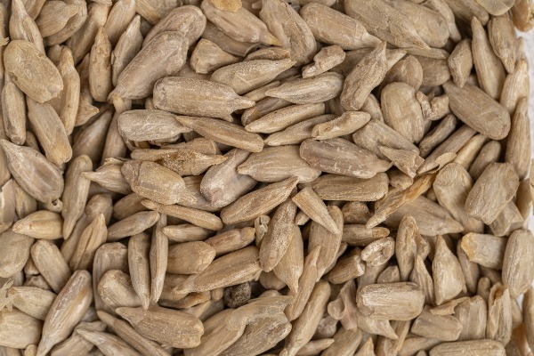Sun Flower Seeds