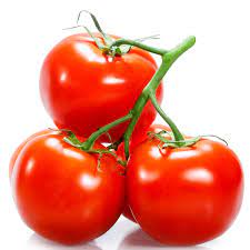 Tomatoes -FF